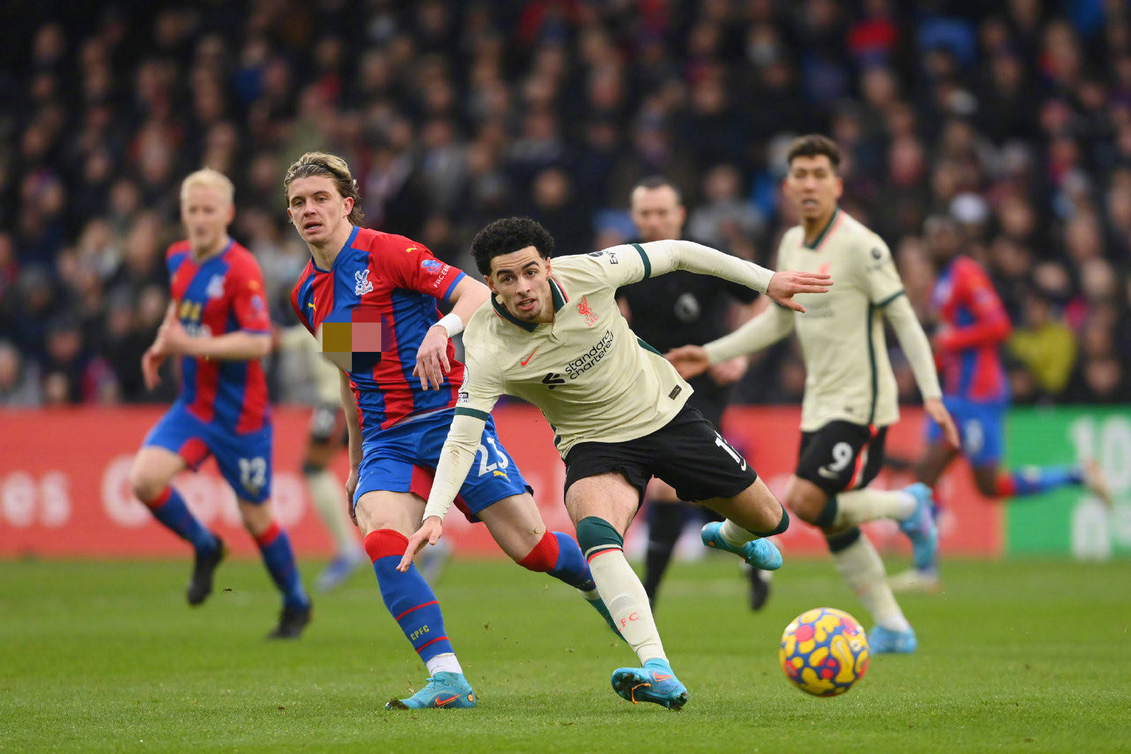 新的高潮 新的高潮